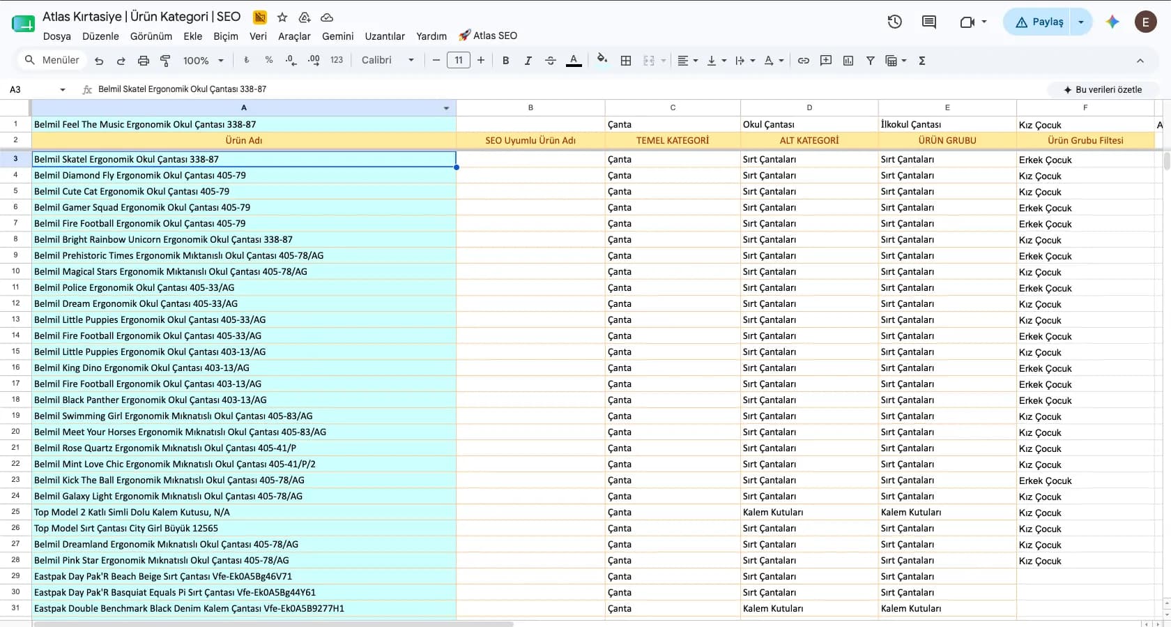 Working sheet mapping Atlas Kırtasiye product data to category and SEO fields